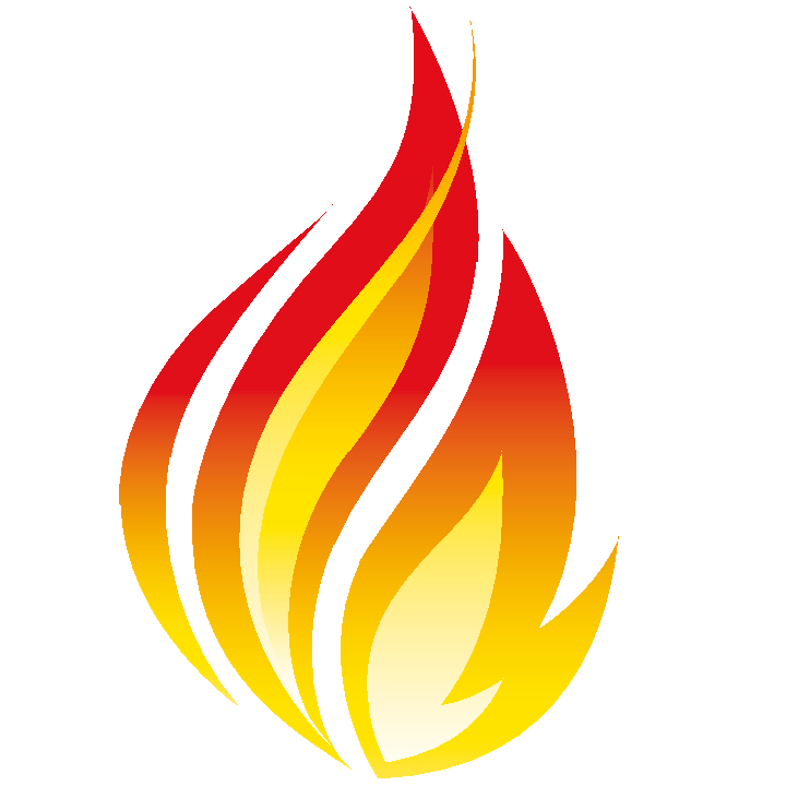 icon-fhir-720