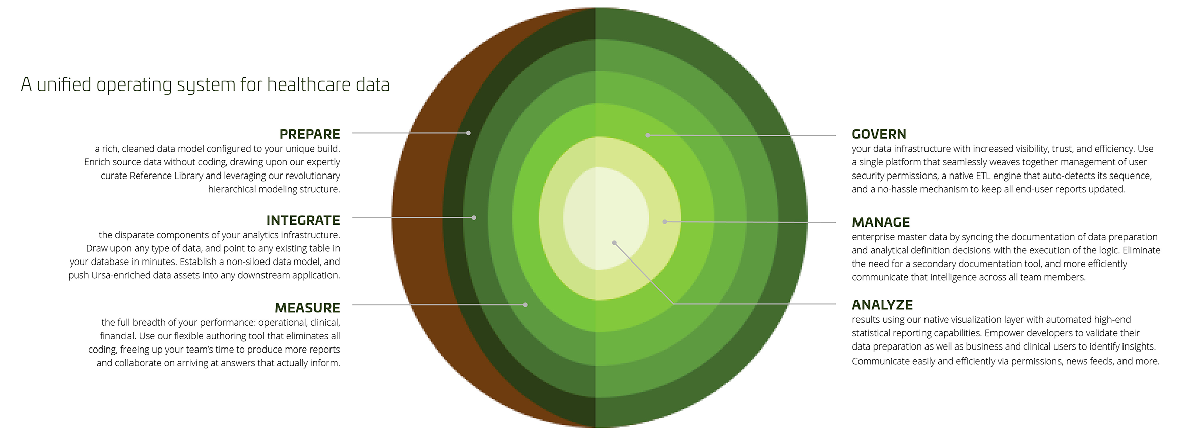 seed-graphic-cropped